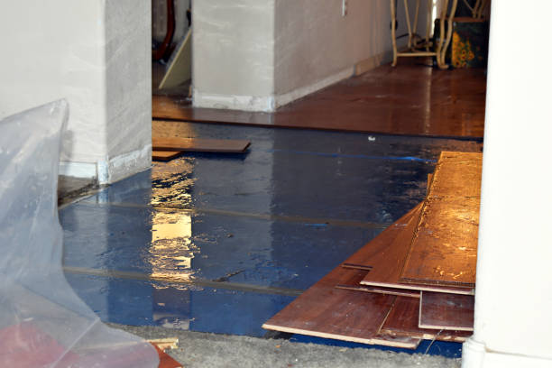Professional Sewage Cleanup technician working in Ellsworth, KS